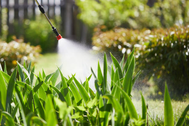 24/7 Emergency Mosquito Control experts in Polk City, IA